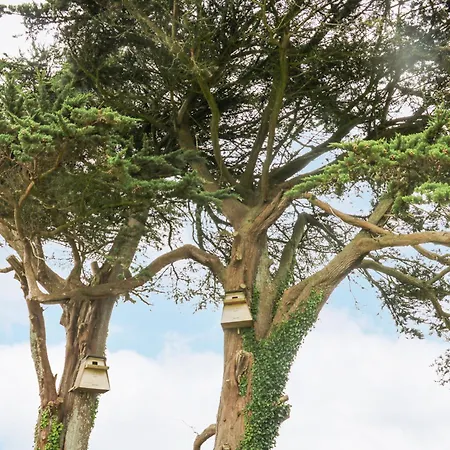 Sanderling Tatil Evi