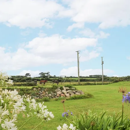 Sanderling * Greenfield Cross Roads