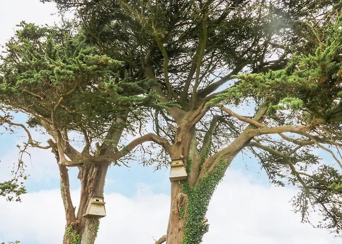 Sanderling Ferienhaus