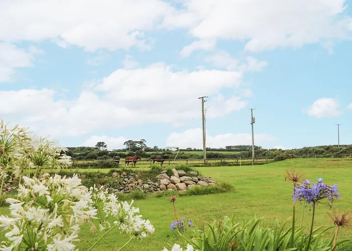 Sanderling * Greenfield Cross Roads